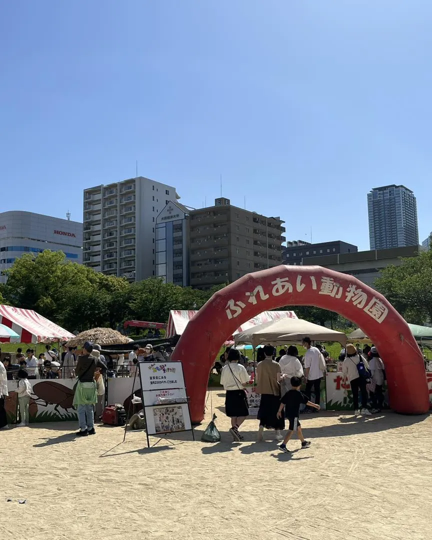 扇町公園で開催している「ロハスパーク梅田」に行ってきました♪